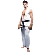 Disfraz de Ryu Street Fighter deluxe