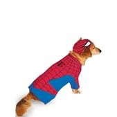 Disfraz The Amazing Spiderman 2 para perro