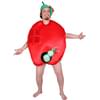 Disfraz de manzana